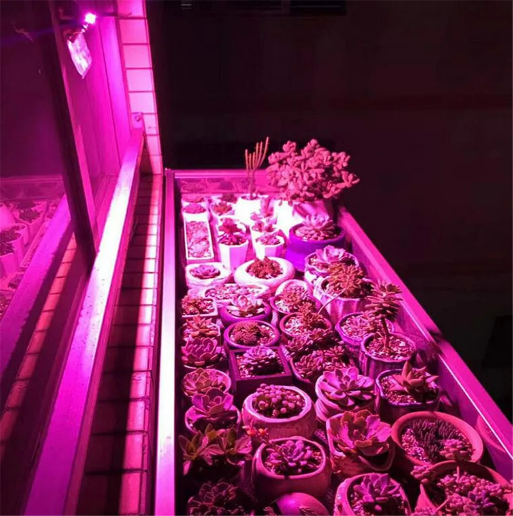 50/100 Вт высокой мощности Мощность COB светодиодный Grow светильник полный спектр Водонепроницаемый 220V для внутреннего парниковых расти палатку успешно выращивайте растения светодиодный светильник