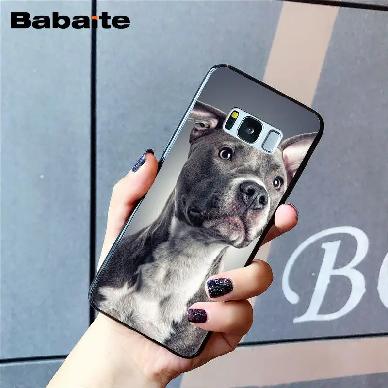 A15 Babaite питбуль прекрасный питбуль чехол для телефона для samsung Galaxy S8 S7 edge S10 Plus S10E S10lite S9 Plus S5 M10 20 - Цвет: A15