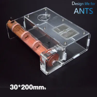 full nest Tubes B 200X30 мм бамбуковые шарколь стеклянные трубки муравьи гнездо муравья королева мастерская дети биологический класс Abservation игрушки керамическая для песка Муравейники - Цвет: full nest Tubes B