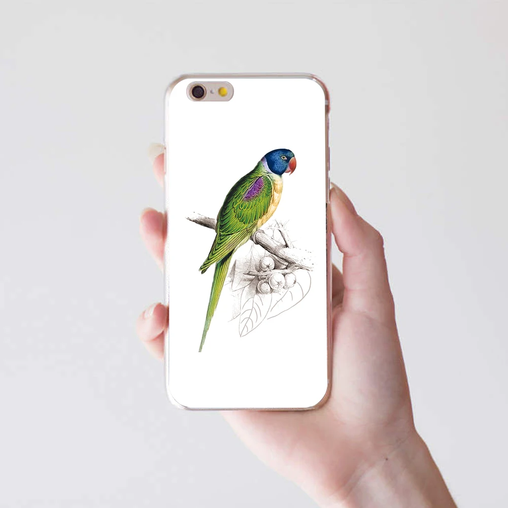 Милый Попугай телефон защитный чехол Крышка для iPhone 6 7 Samsung Galaxy S6 S7|cover for iphone|case