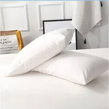 Hot Selling 50*70CM 100% Polyester Waterproof Pillow Protector/ Pillow Case With Zipper For Bed Wetting And Bed Bug One Pair