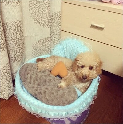 Бесплатная доставка лидер продаж 2019 новинка роскошная кровать для собаки