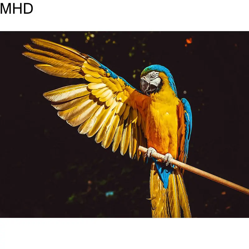 MHD full square bird diy 5d diamond painting cross stitch animal mosaic wall stickers artist home decoration kit | Дом и сад