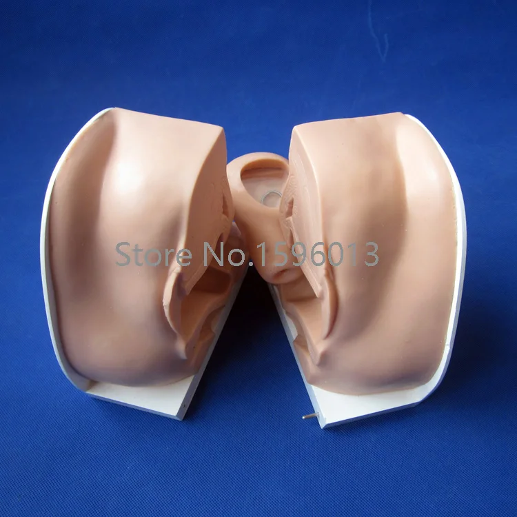 Усовершенствованная модель контрацепции противозачаточная помощь | Канцтовары