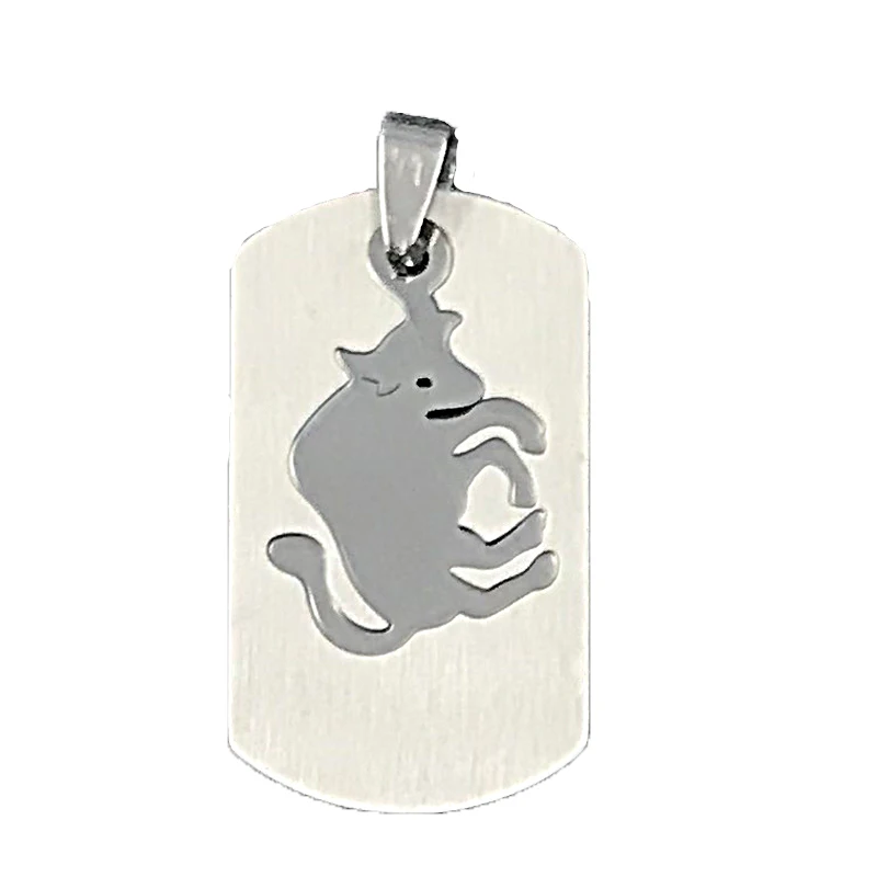 Ожерелья и подвески из нержавеющей стали 2019 с двойным слоем Стрелец двенадцать