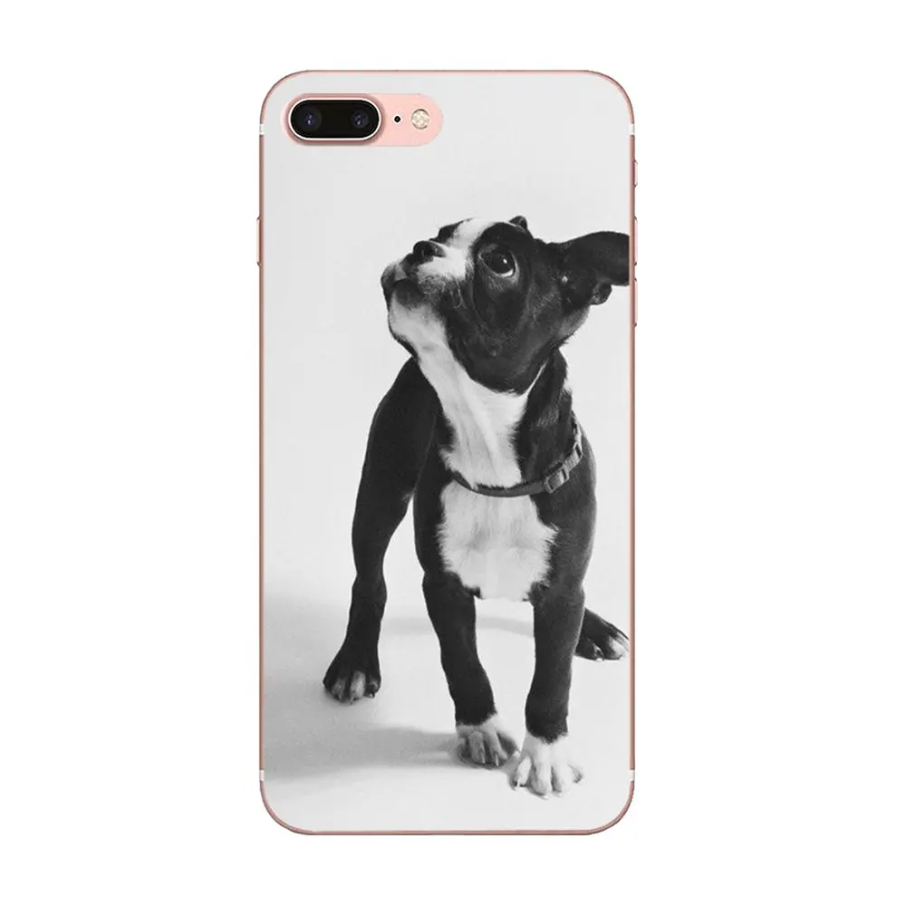 Boston Terrier Dog Puppies для Huawei P8 P9 P10 P20 P30 Mate 7 8 9 10 20 Lite Plus Pro 2017 чехол телефона | Мобильные
