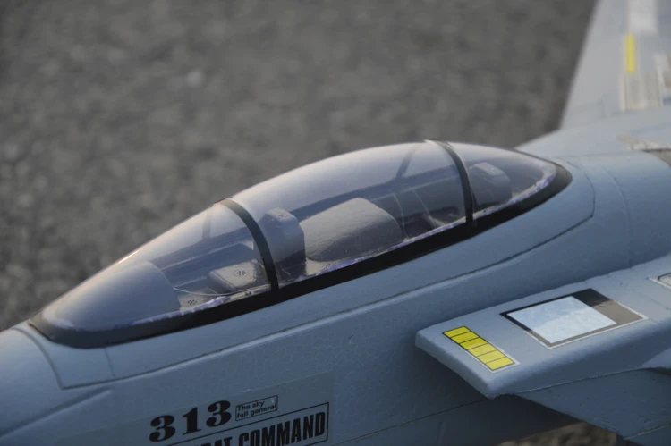 1 метров F15 EPO противоударный 2 4G RC самолет arf пульт дистанционного управления rc Eagle