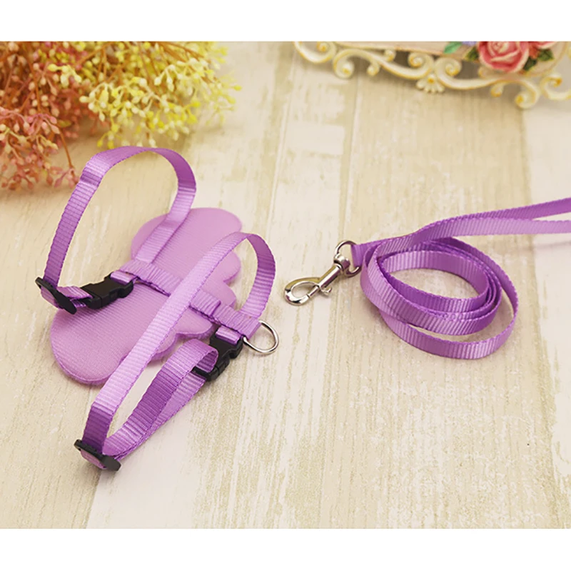 Набор ошейников для милых собак поводок с углами и крыльями маленьких кошек