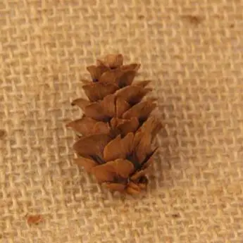 Натуральное мини украшение Pinecone из СОСНОВЫХ ШИШЕК на рождественскую елку Декор