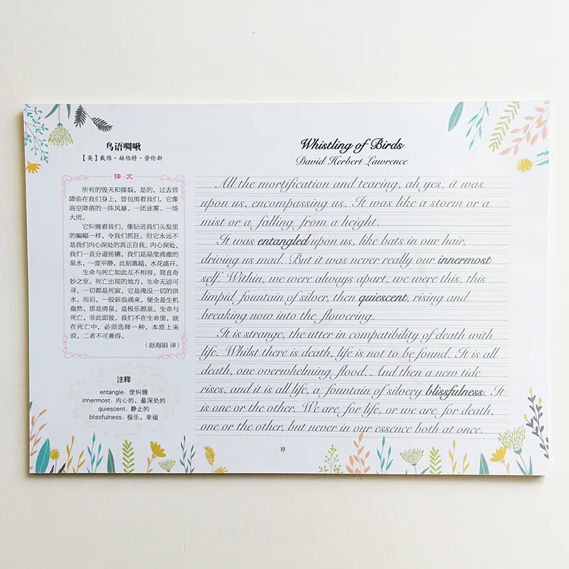 Тетрадь для Английской Каллиграфии Красивая тетрадь упражнений на английском