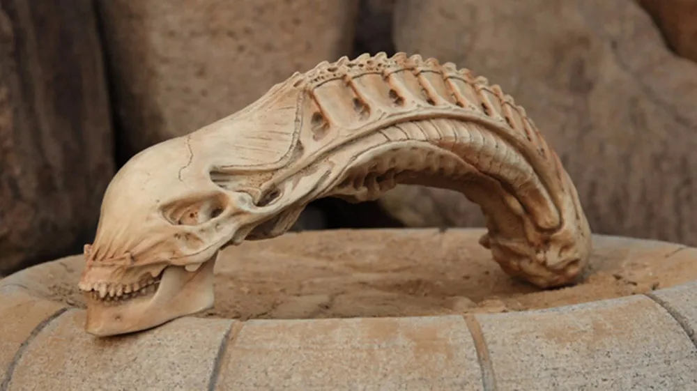 Модель черепа инопланетянина из смолы декоративная модель для хэллоуина