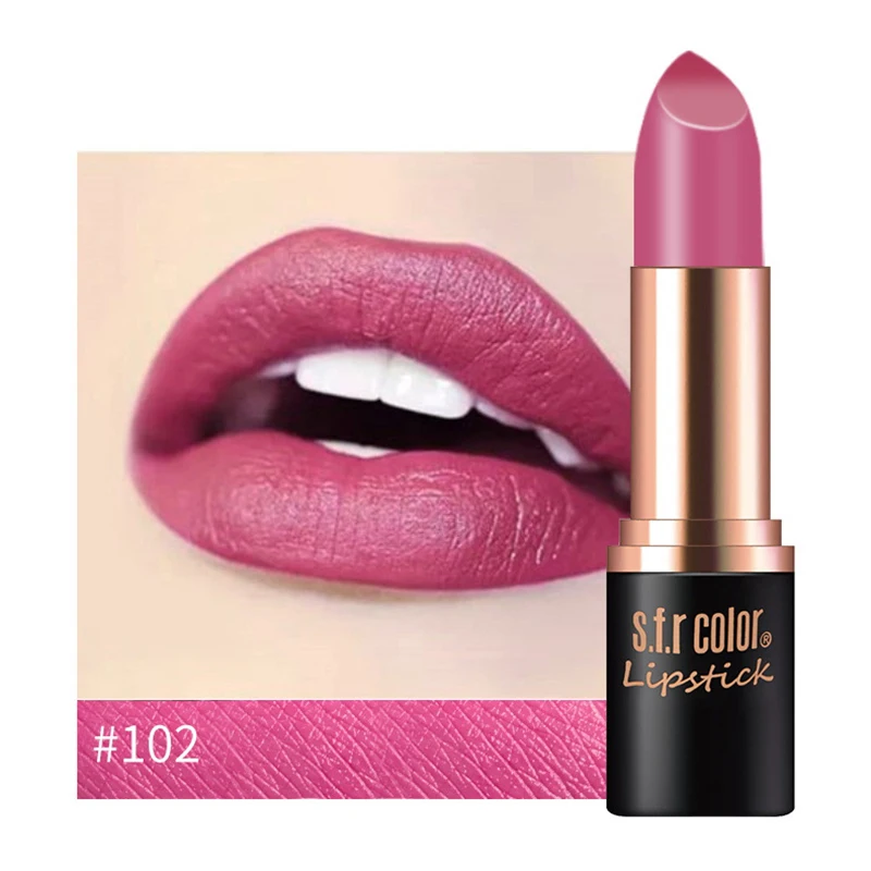 102 New Matte Lipstick 12color Easy To Wear Waterproof Long-lasting Matte Lip Gloss Lipstick Lady Sexy Lipstick Lip Balm TSLM2 - Color: 102