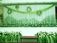 3m6m wedding stage curtain green wedding backdrops wedding stage decor romantic wedding cutain