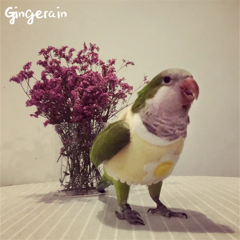 Gingerain одежда с птицами попугай маленькая яичная скорлупа оригинальная ручная