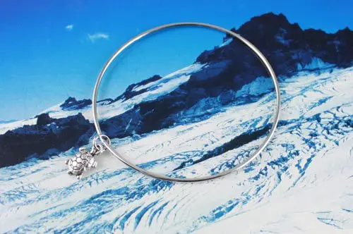 60 шт. подвеска в виде черепахи Фотофон № 20181|charm bangle|charm bracletsbangle charm |