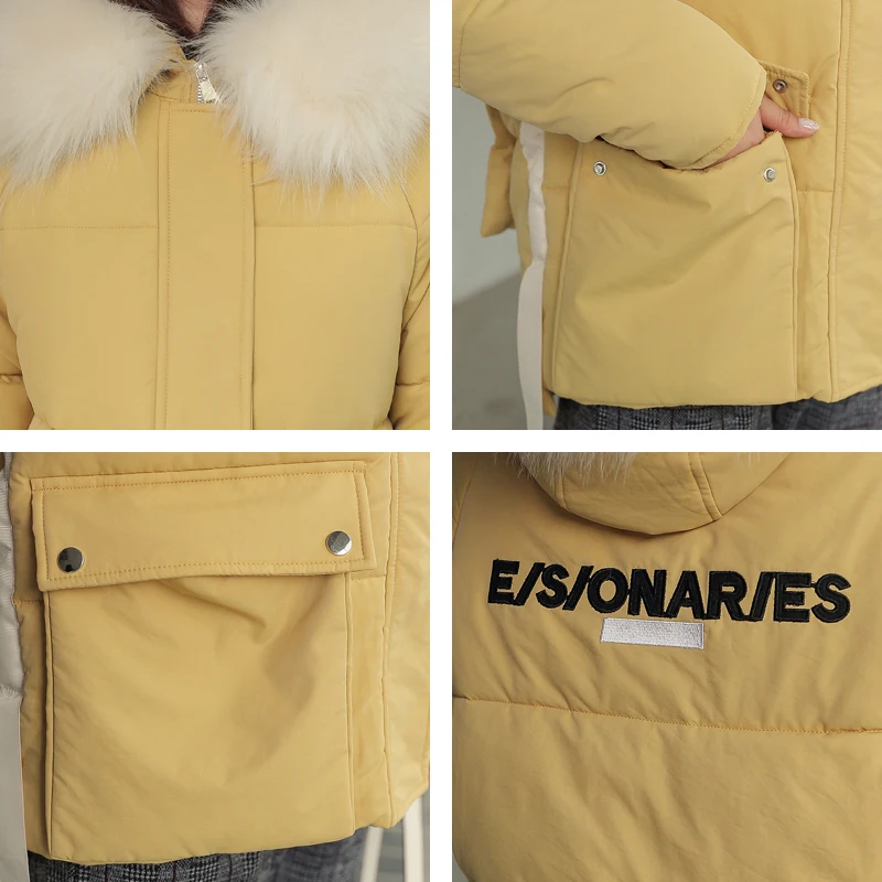 Новый дизайн 2019 зимняя женская куртка с хлопковой подкладкой верхняя одежда