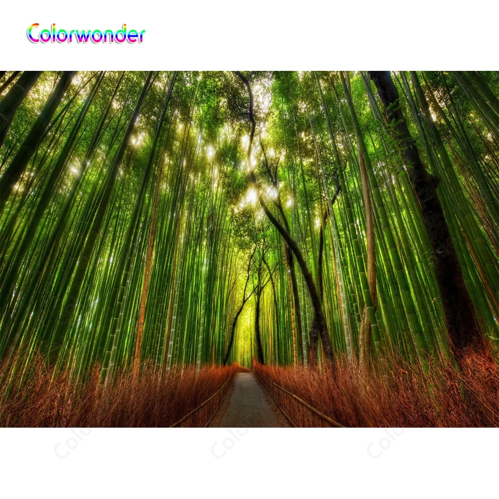 

Fairy Tale World Background for Photography Magic Forest Green Trees with Blue Sky 7x5ft Nature Scenery Backdrop for Photo Booth