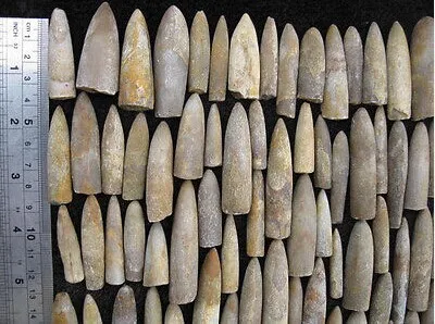 100 г натуральные Редкие образцы рыбы в виде стрелы|specimen| |