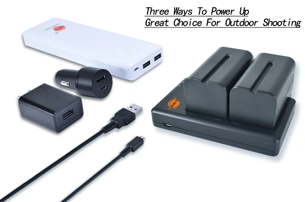DSTE двойной слот Зарядное устройство с 2 шт. NP-F750 NP-F770 NP-F730 для sony CCD-TR818 CCD-SC55 CCD-TR910 DCR-TRV103 DCR-TRV220k MVC-FD95