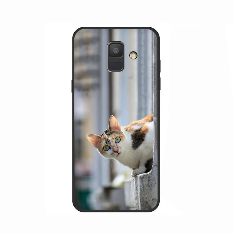 B10 Черная кошка, глаз мягкий силиконовый чехол для телефона для samsung A3 A5 A6 плюс A7 A8 A9 A10s 20С 30С 40С с 50s 60 70 J6 - Цвет: B10