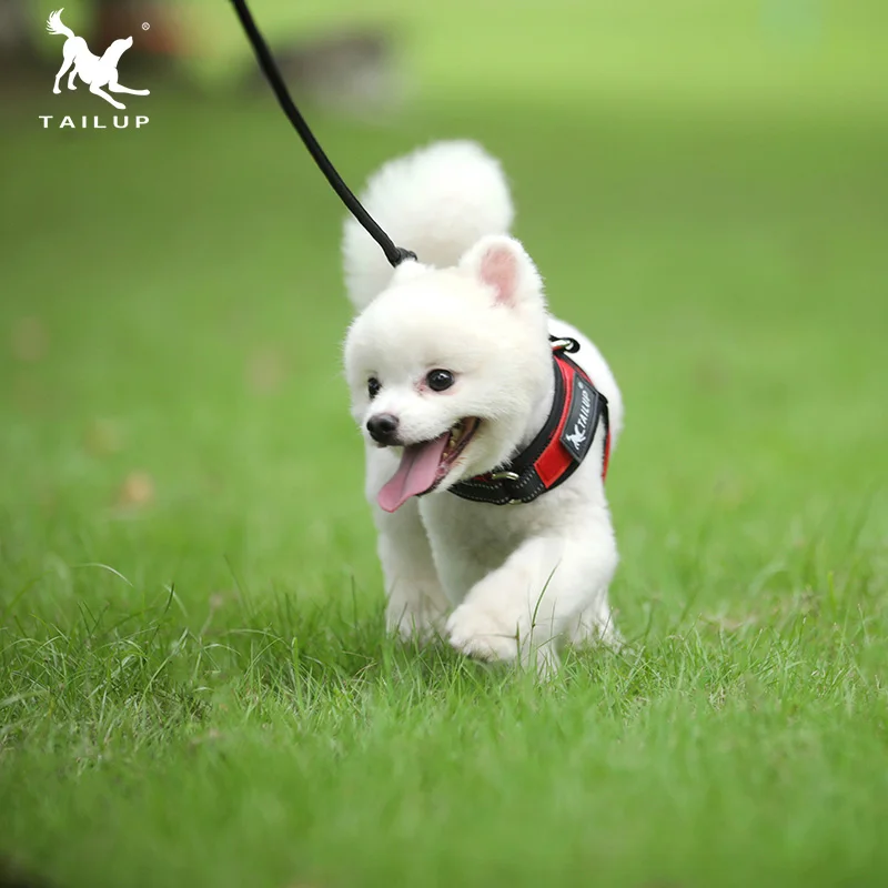 TAILUP ошейник для домашних животных K9 мягкий Экстра Маленький Светоотражающий