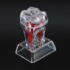 Стоматологическая демонстрационная модель, пластиковая модель зубов, молярная кристаллическая основа, Отделяемая, для обучения