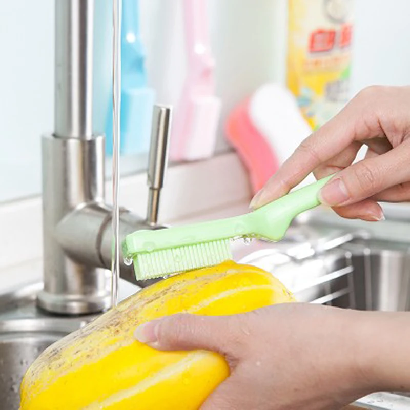 Кухня инструмент фруктов Растительные Тематические товары про рептилий и