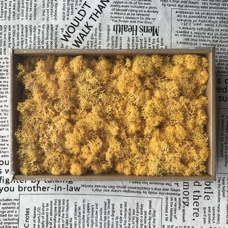 200 г DIY украшения Рождественские подарки долговечные сохраненные цветы мох