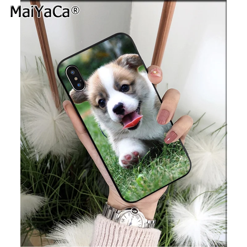 Мягкий силиконовый чехол для телефона MaiYaCa Animal Corgi dog из ТПУ Apple iPhone 8 7 6 6S Plus X XS MAX 5 5S