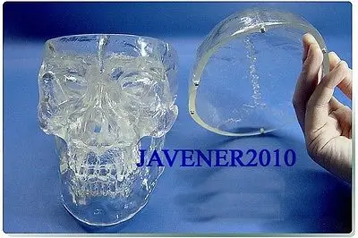 Каркасная медицинская модель с черепом анатомическая голова человека