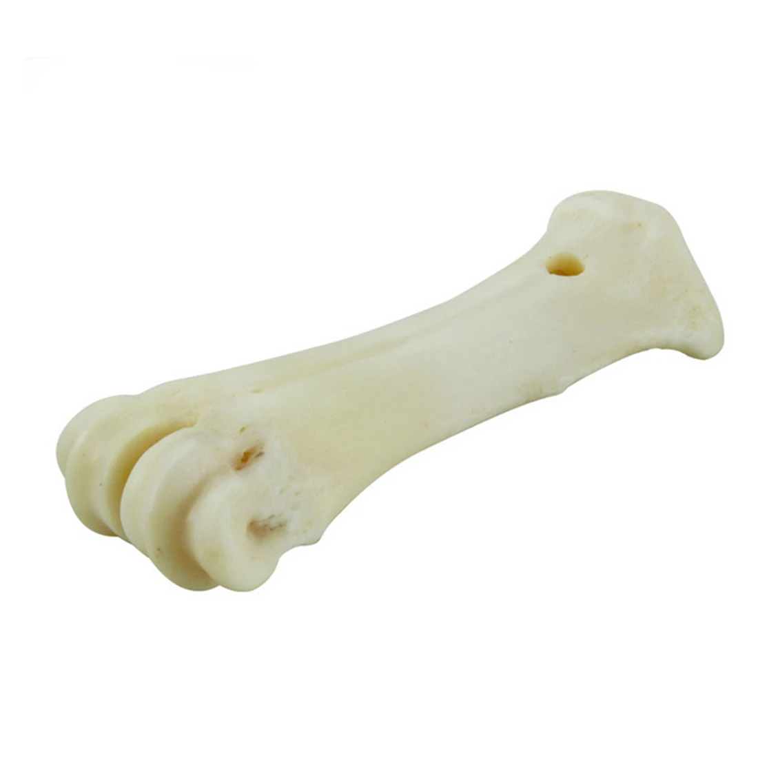 Пэтфору настоящая кость для собак жевательная молярная удочка молочные зубцы