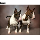 С бультерьером собакой 