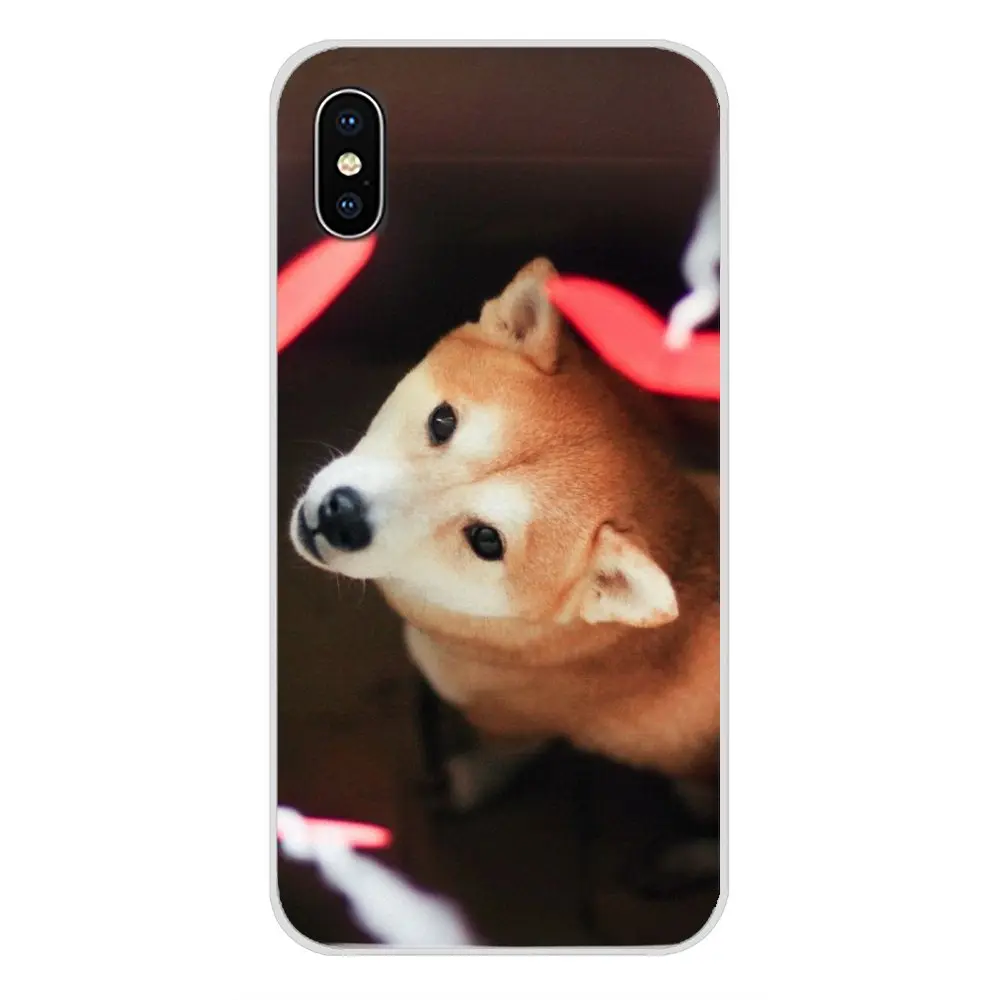 Силиконовый чехол для телефона с изображением милой собаки акиты Samsung A10 A30 A40 A50 A60