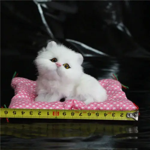 Новинка 1 шт. случайный Забавный однотонный Милая кошка плюшевая кукла игрушки