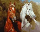 Картина маслом по номерам без рамки, краска по номерам для домашнего декора, картина маслом 5065, коричневая и Белая лошадь