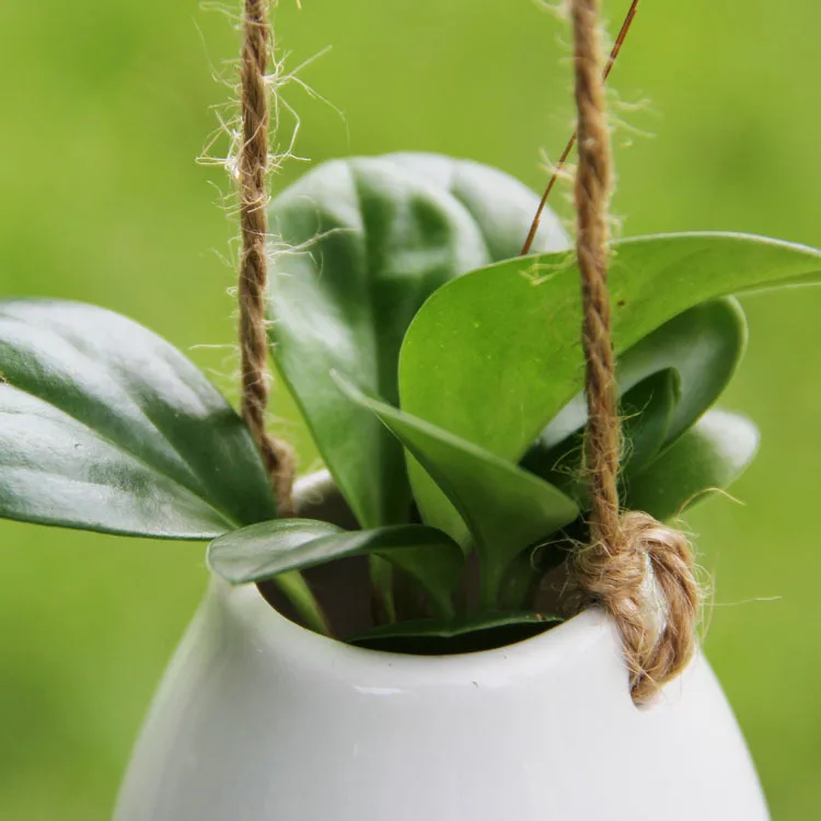 Белая керамическая острая ваза для яиц посадки воды/украшения сада | Дом и сад