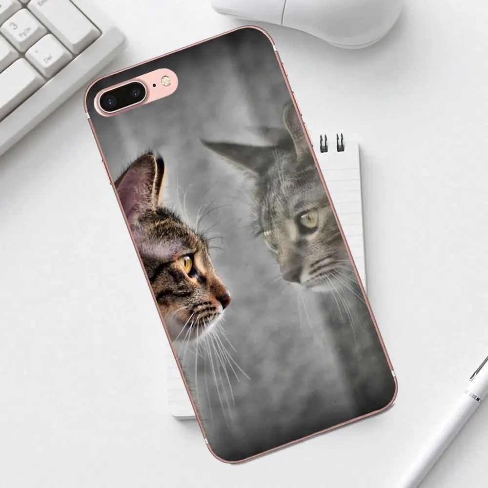 The Cute Mirror Reflection Cat Lovely Luxury For iPhone 4 4S 5 5C SE 6 6S 7 8 Plus X XS Max XR Galaxy A3 A5 J1 J3 J5 J7 2017 | Мобильные