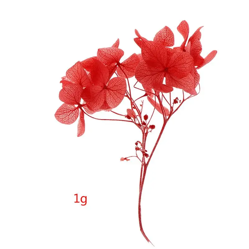 Материалы из эпоксидной смолы гортензии для сухоцветов украшения ручной работы