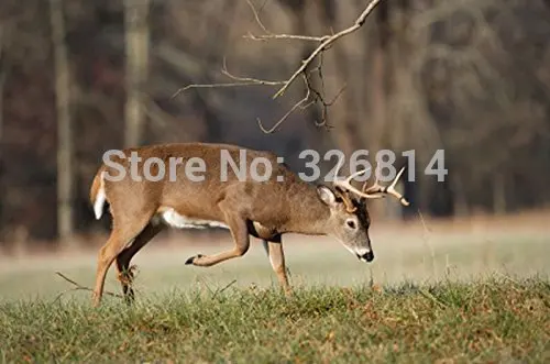 Micnova Pro Lightning/стилизованные под языки пламени и движения