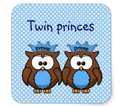 

1.5inch twin owl princes square sticker