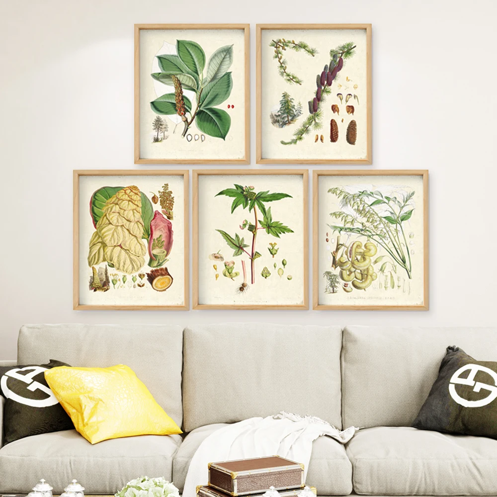 Винтажные ботанические иллюстрации Gohipang с зеленым цветочным рисунком HD печать