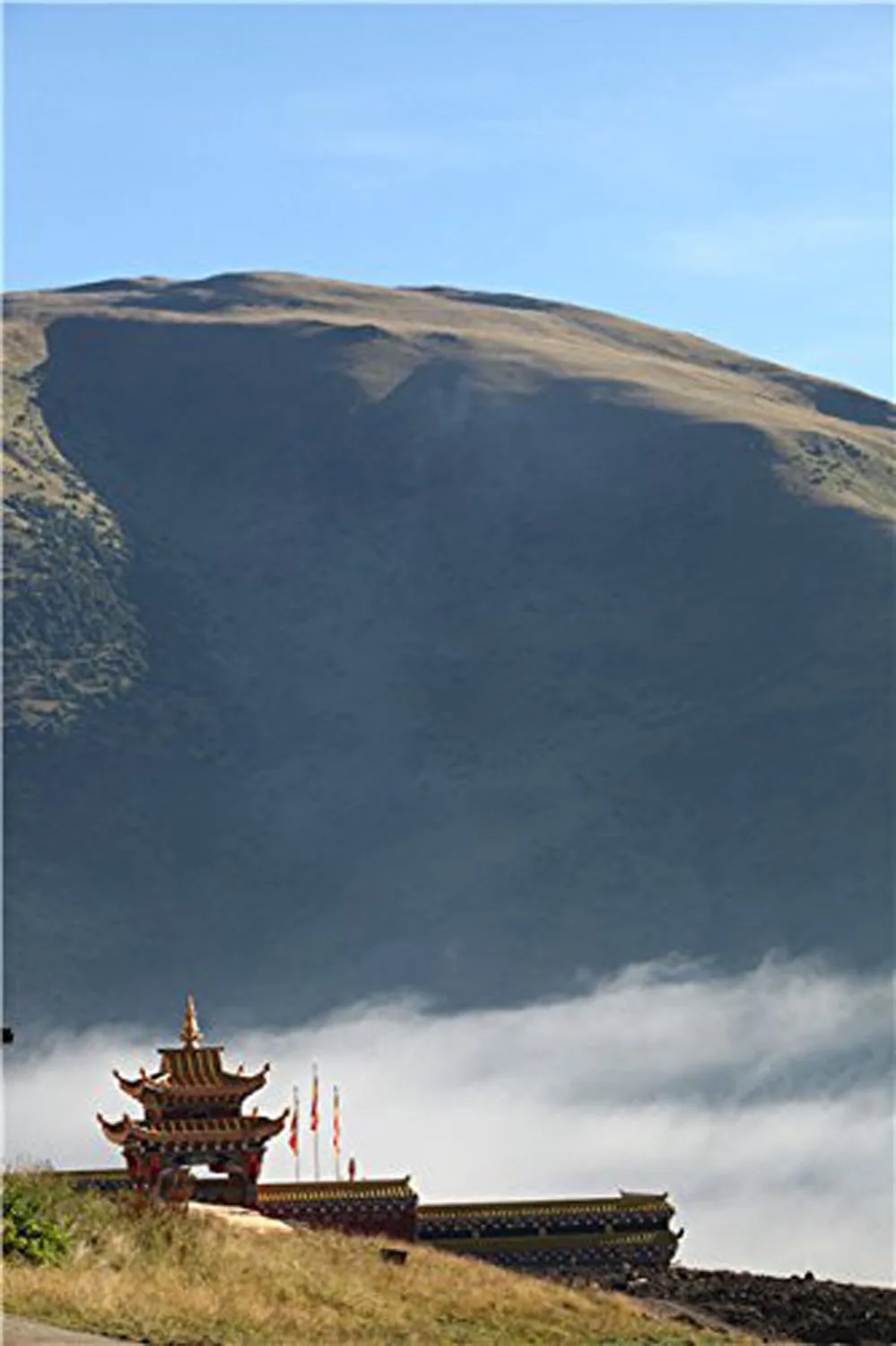 Изучите мир через Будду Дхарма: людям в поиске ответа|dharma| |