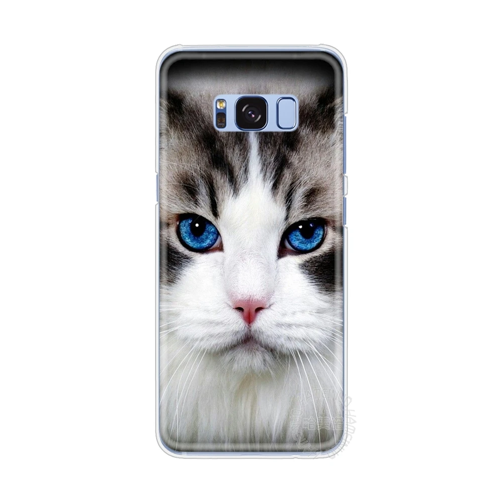 HAMEINUO кошка котенок зеленые глаза милые животные домашние чехол для мобильного