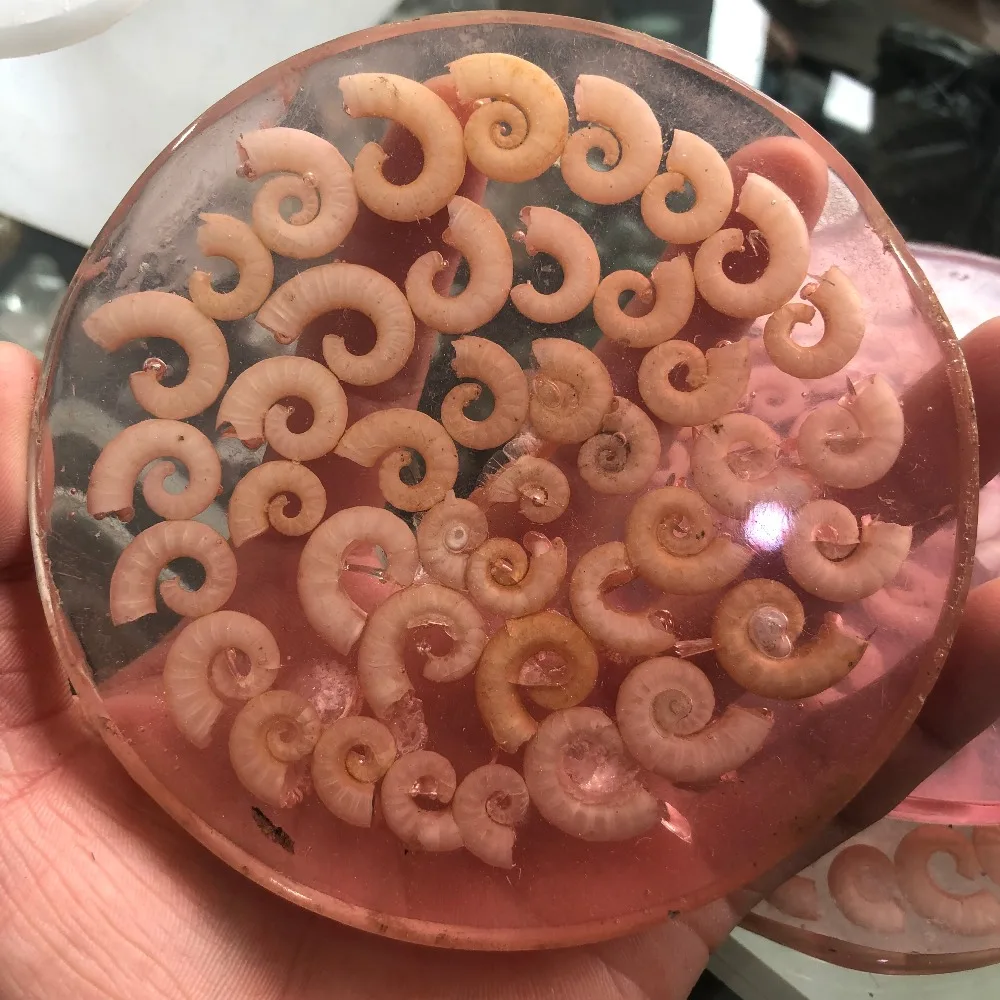 1 натуральный раковин срастается и используется для украшения|Камни| |