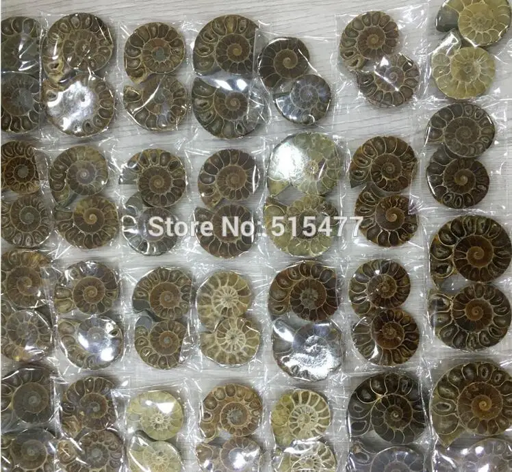 1 фунт. Натуральный Радужный раздельный аммонит ископаемый разрез на половину