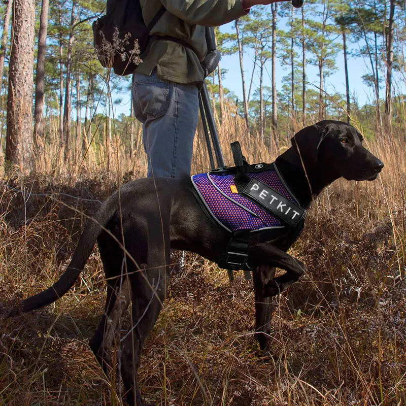 FML спортивный светоотражающий мягкий сетчатый поводок для собак автомобильный