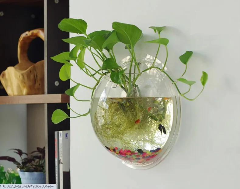 Творческий Настенный аквариум мини аквариума росписи вода культивированный Горшок Офис эко декоративных аквариумных Диаметр 25 см