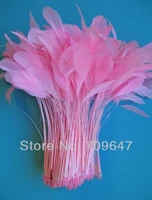 pink feathers 100pcslot 6 8 inches 15 20cm candy pink stripped coque rooster featherscraft rooster feathersfeather decor