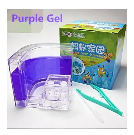 purple gel Натуральный муравей ферма с Eatable гелем насекомых экологическая коробка научная развивающая игрушка муравьи домашнее животное рептилия светодиодный Муравьиное гнездо класс номер пункт - Цвет: purple gel