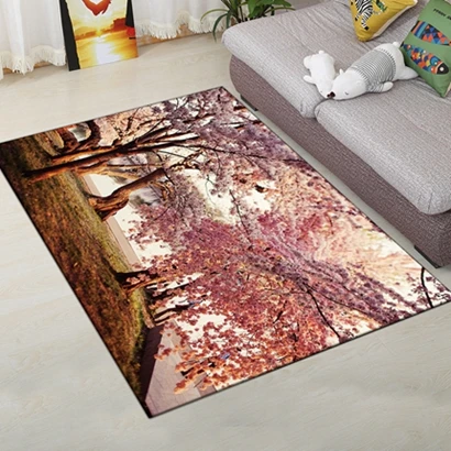 Carpet4 120*160 см креативные коврики европейские Цветы гостиная ковер Тип 3D печать коврик для прихожей Противоскользящий Ванная комната Кухонный коврик - Цвет: Carpet4